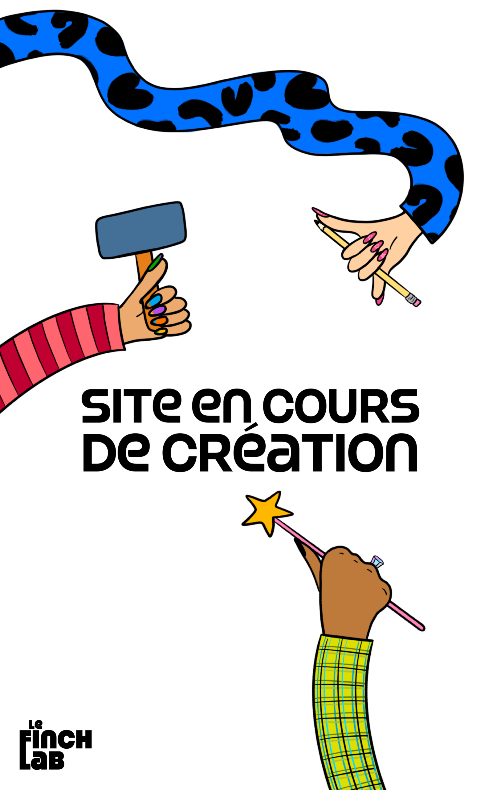 Illustration site internet Le Finch Lab en création